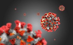 جدیدترین خبر سازمان بهداشت جهانی درباره ویروس کرونا