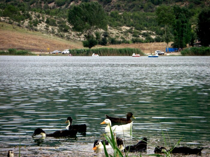 ولشت؛ دریاچه‌ای پنهان شده در مسیر خزر