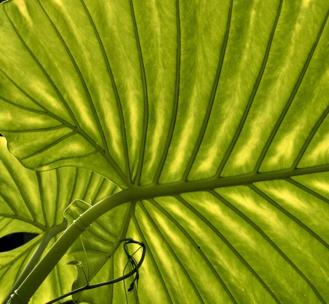 برندگان جایزه جهانی عکاسی ماکرو معرفی شدند + تصاویر