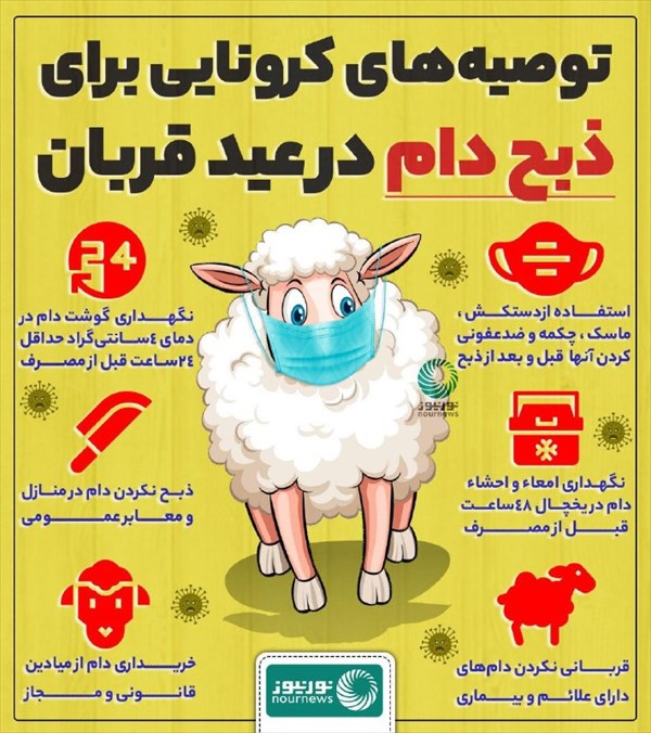 توصیه‌های بهداشتی برای ذبح دام در عید قربان
