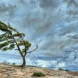 شروع وزش باد به نسبت شدید در ۱۱ استان کشور