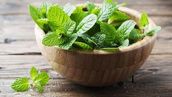 گیاهی موثر برای رفع سردرد و سنگ کلیه