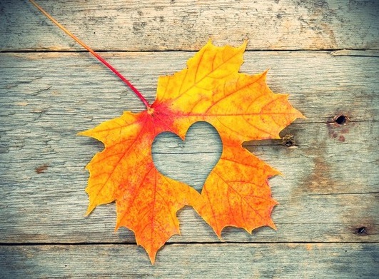 پاییز را با من بخوان