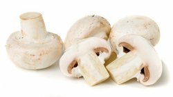 خواص شگفت‌انگیز قارچ برای سلامتی را بشناسید