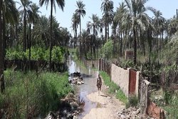 هراس روستائیان از نزدیک شدن به باغات خود در دیالی عراق