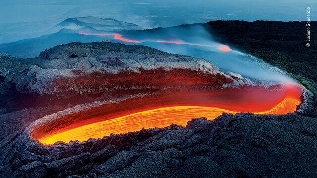 معرفی برگزیدگان رقابت عکاس حیات‌وحش سال ۲۰۲۰ + تصاویر