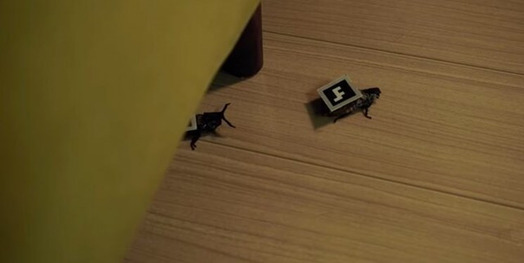 سوسک رباتیک در امور خانه به شما کمک می‌کند