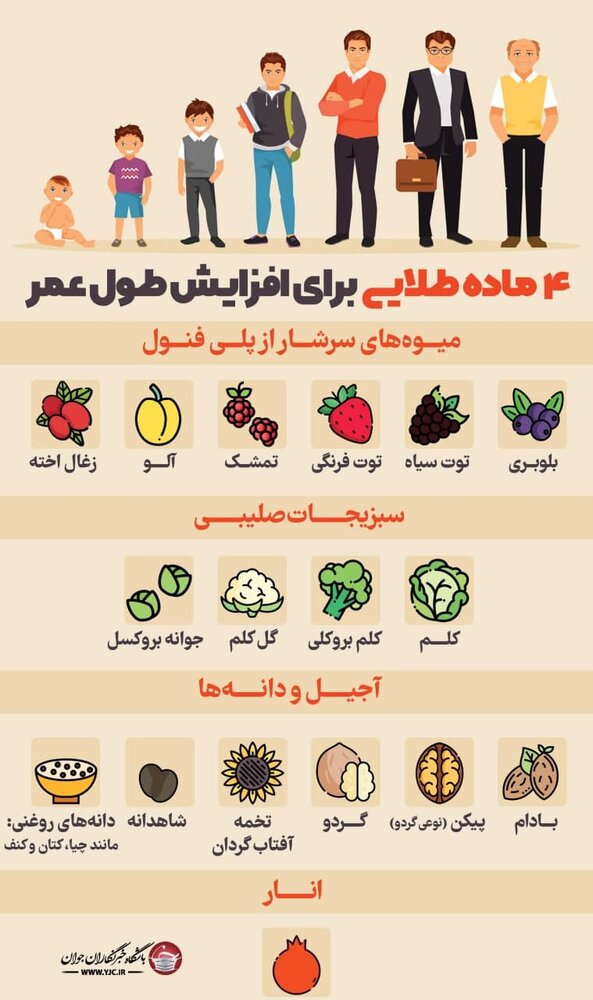 ۴ ماده طلایی برای افزایش طول عمر