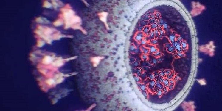 جدیدترین و دقیق‌ترین تصاویر از ویروس کرونا منتشر شد