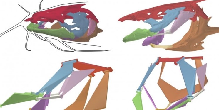 ابداع ربات‌های زیردریایی با الهام از گربه‌ماهی