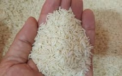 واکنش گمرک به فساد برنج های دپو شده چیست؟