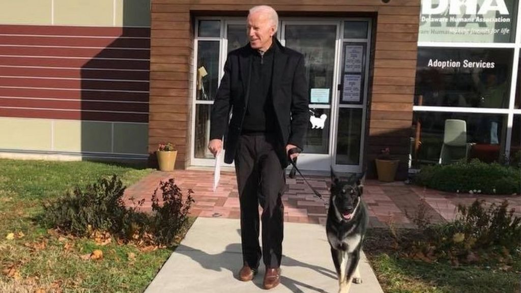 بروز سانحه برای بایدن و پیام ترامپ