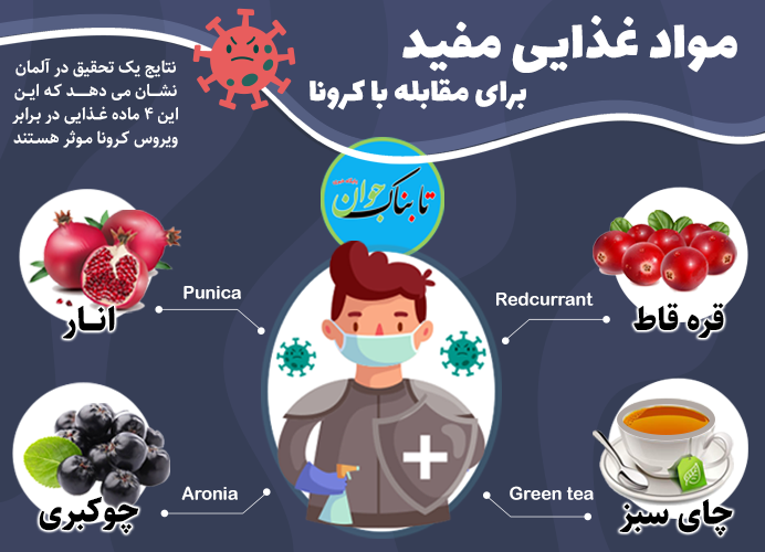 ۴ ماده غذایی مفید برای مقابله با ویروس کرونا
