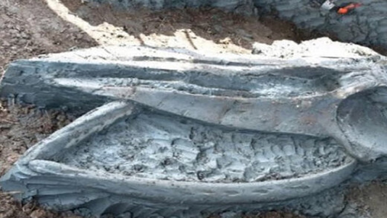 کشف فسیل سالم پنج هزار ساله نهنگ
