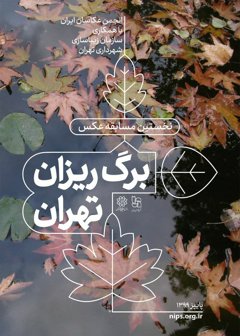 از «برگ‌ریزان تهران» عکس بگیرید