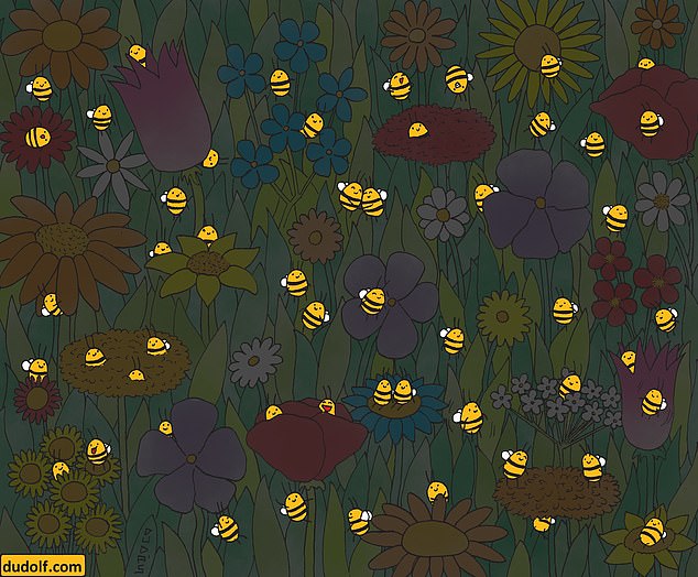 معمای تصویری سخت