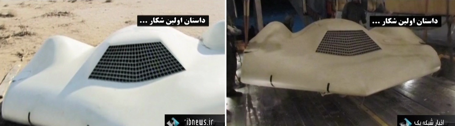 تولیدمثل «جانور قندهار»