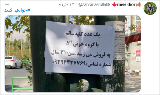 آذری جهرمی توییتر 