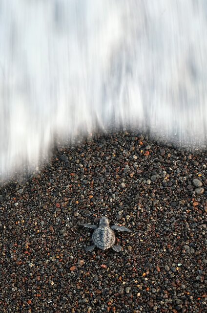 برترین عکس‌ها با سوژه‌های کوچک