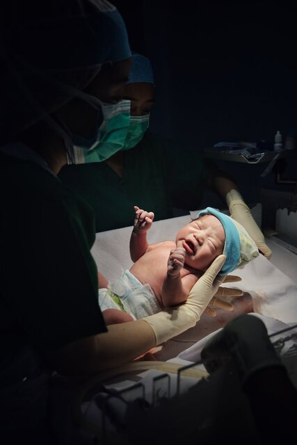 برترین عکس‌ها با سوژه‌های کوچک