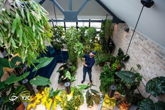 ابتکار یک مرد انگلیسی که او را ثروتمند کرد