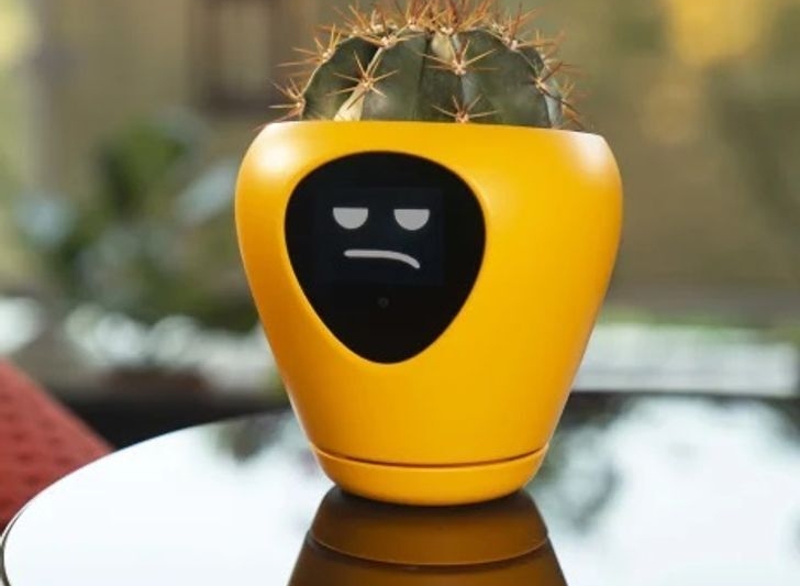 گلدانی که احساس دارد