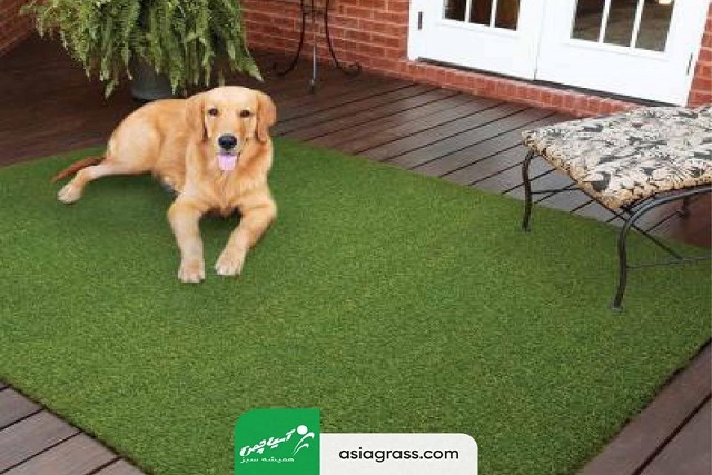 8 تصور غلط درباره چمن مصنوعی