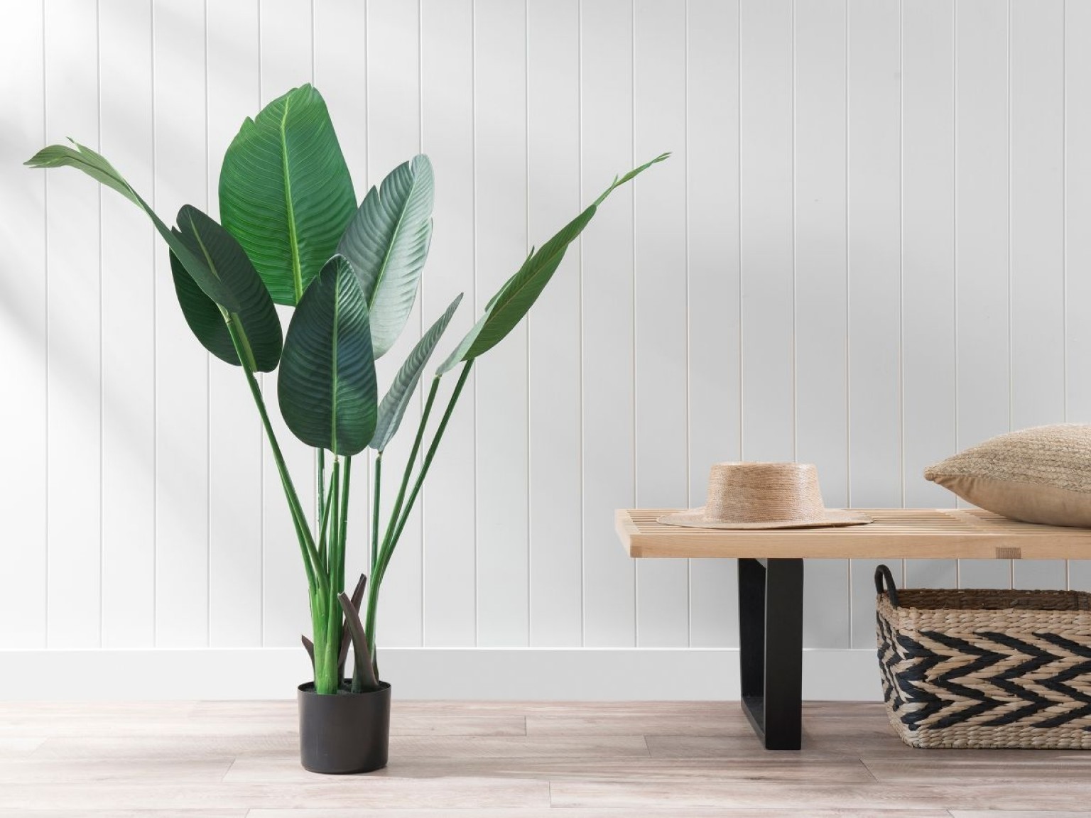 اشنایی با فواید درمانی انواع گل های آپارتمانی