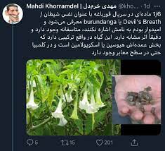 همه چیز درباره ماده مخدر ویرانگر 