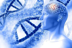 ۱۳ ژن جدید در بروز آلزایمر کشف شد