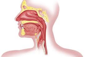 ترشح پشت حلق