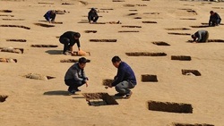 کشف ماسک طلای ۳ هزار ساله در چین + عکس