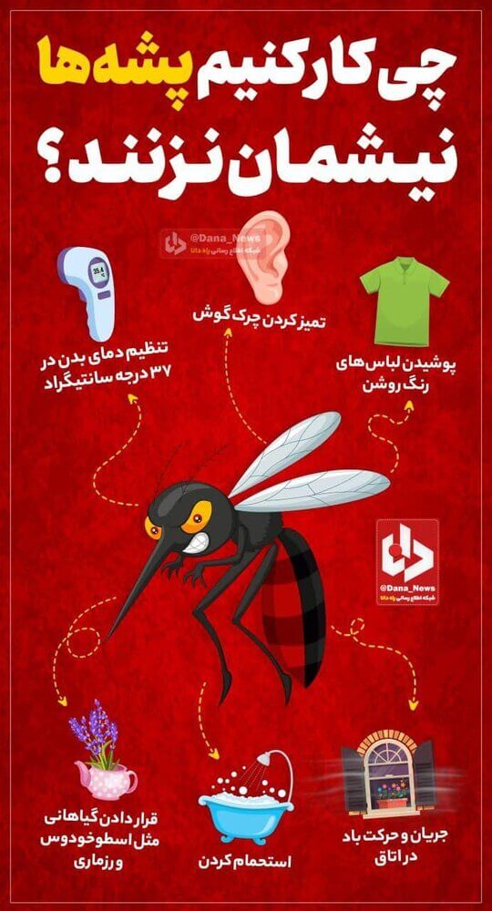 چه کنیم تا پشه ‎ها نیشمان نزنند؟