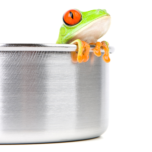 ماجرای سیلی خوردن یک روحانی/ چرا هر دروغی در فضای مجازی را باور میکنیم؟