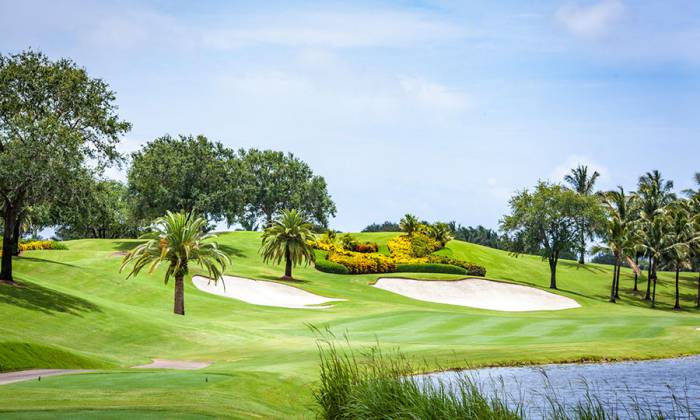 باشگاه گلف «بیرینگ تری» در آمریکا