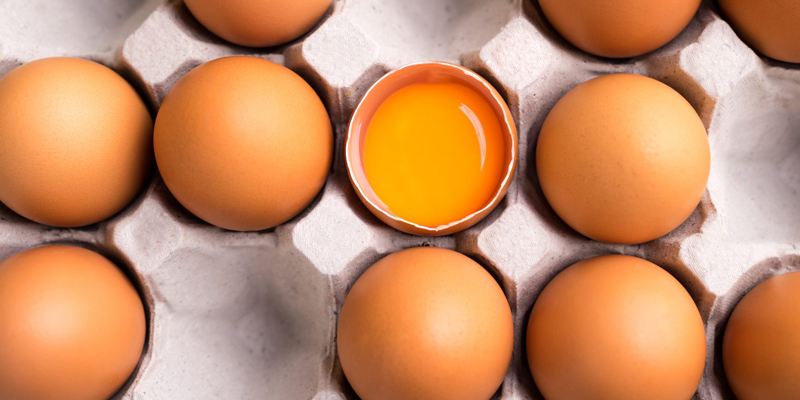 راه های تشخیص تخم مرغ تازه و سالم! راه های تشخیص تخم مرغ تازه و سالم!