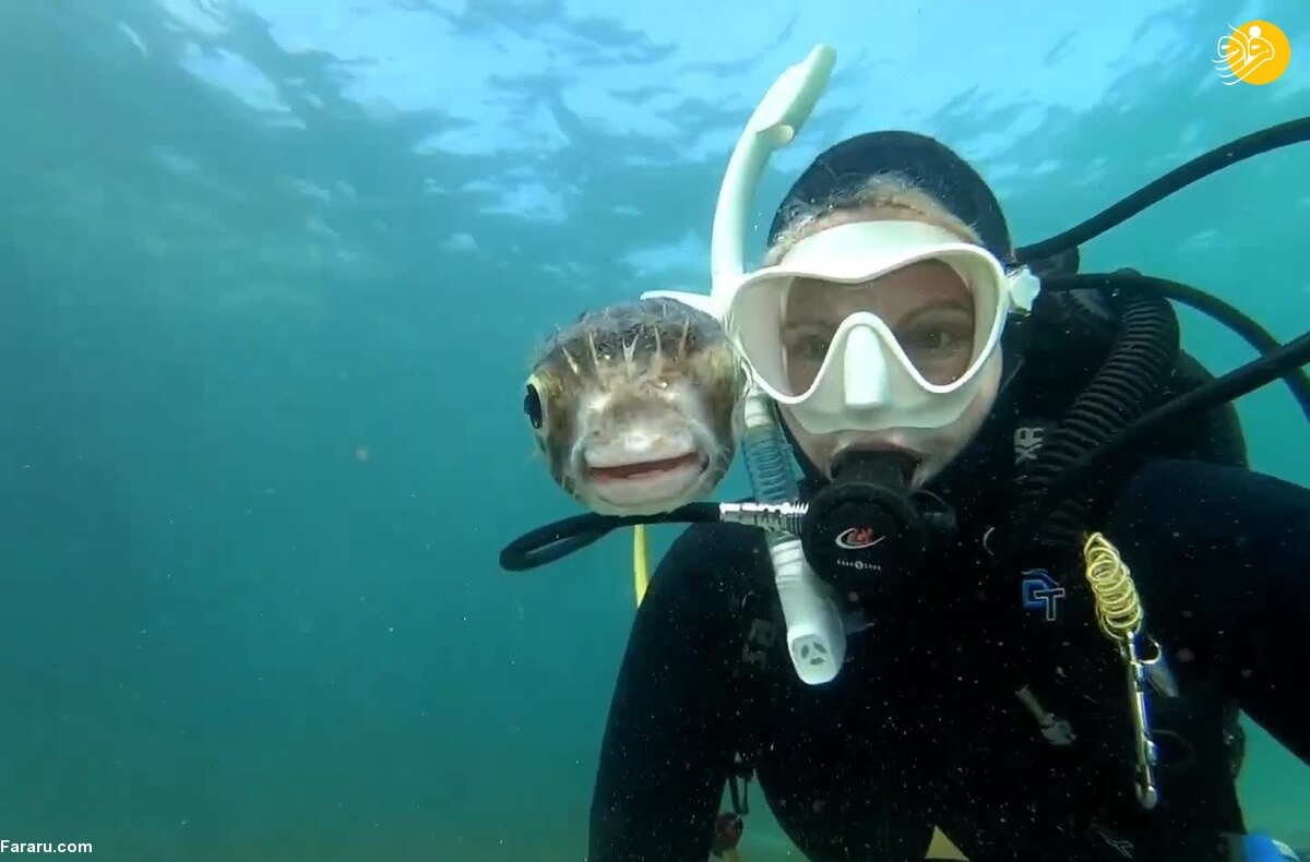 سلفی با خطرناک‌ترین ماهی‌ جهان
