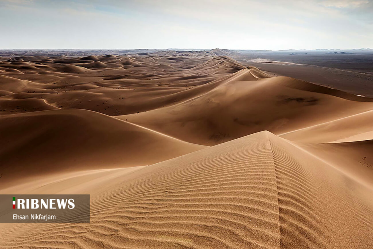 صحرایی شگفت‌انگیز