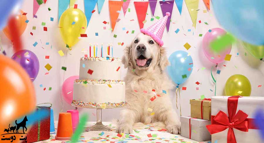 جشن تولد سگ