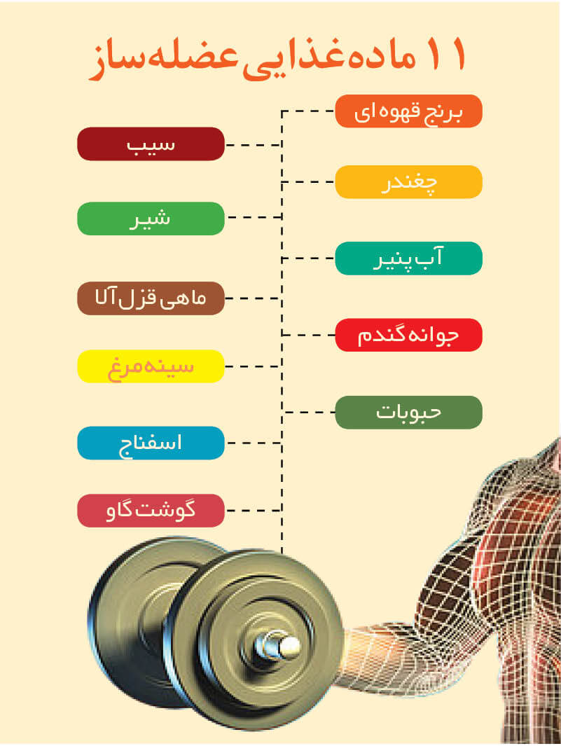 ۱۱ ماده غذایی عضله ساز