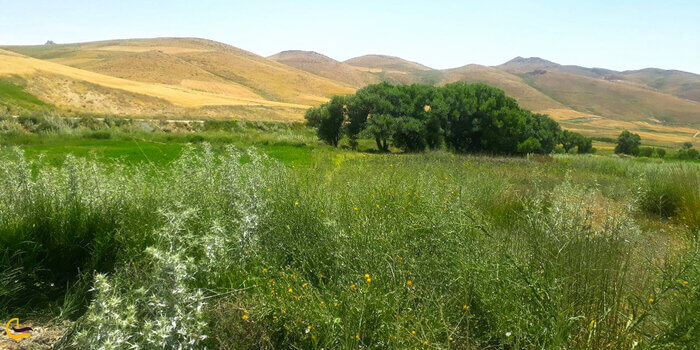 چناقچی علیا، ایران کوچک