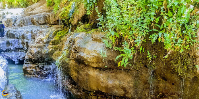 ارنگه، بهشتی در پیج‌وخم جاده چالوس