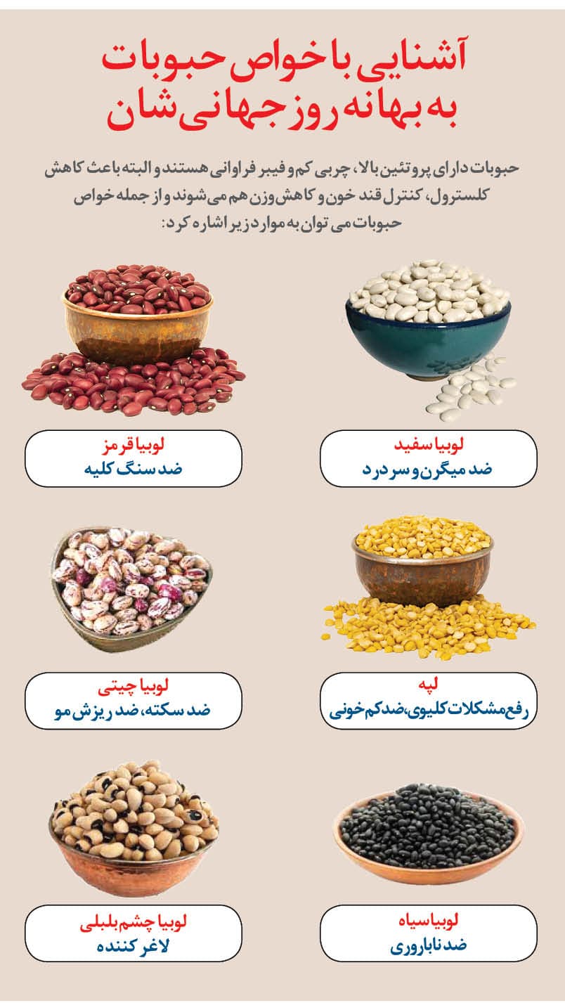 خواص حبوبات در یک نگاه خواص حبوبات