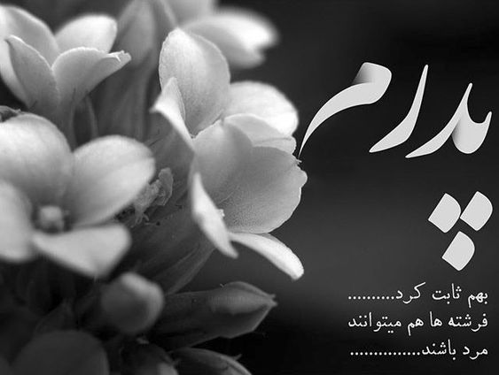 فرشته ای به نام مرد 