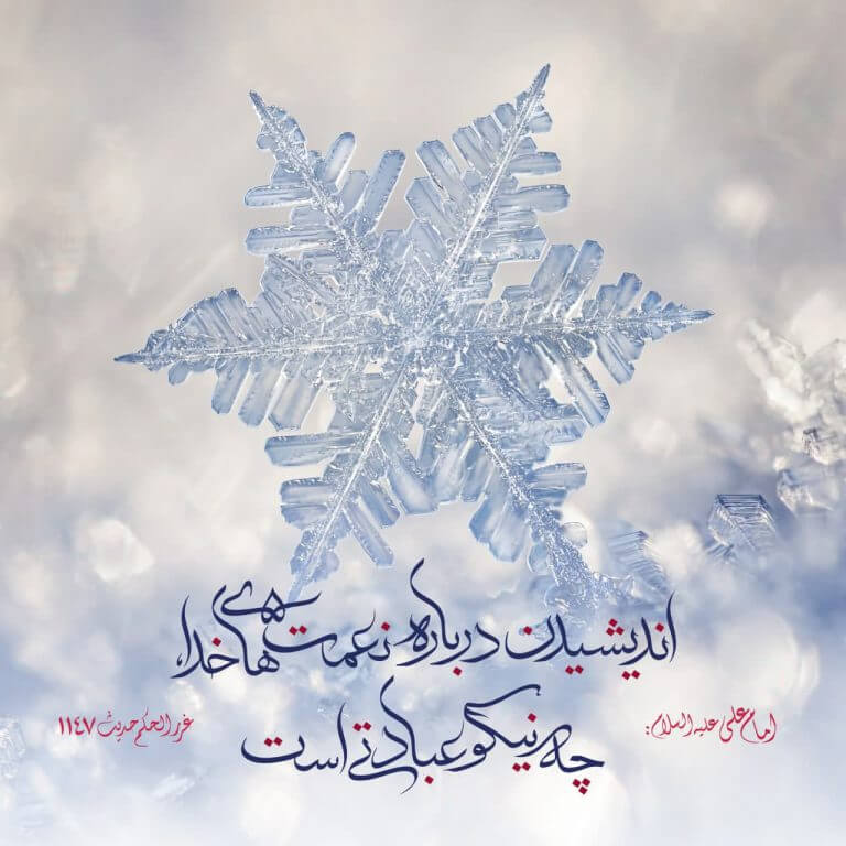 احادیث امام علی (ع)