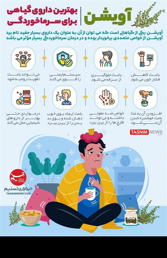 اینفوگرافیک