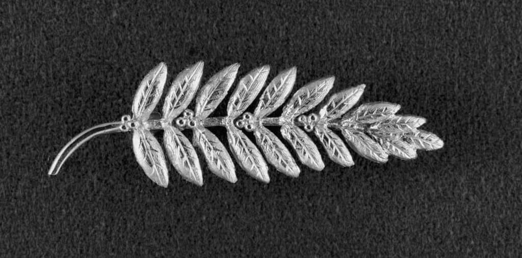 شاخه زیتون آرمسترانگ