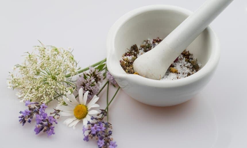کدام گلها خوراکی هستند؟ / فریب پیجهای اینستاگرامی را نخورید! گل خوردنی