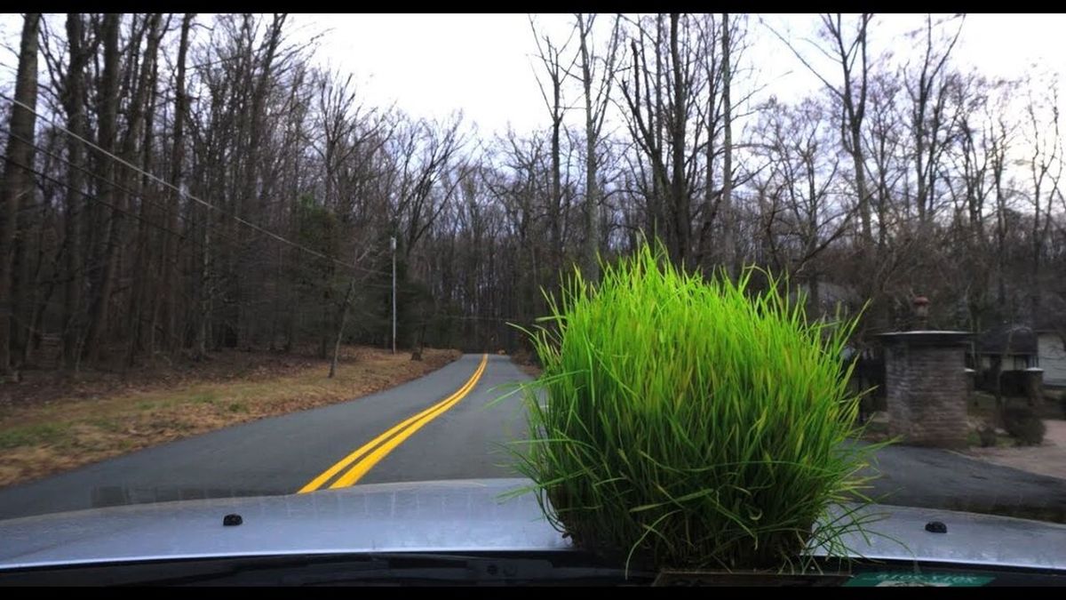 چه کنیم تا سفر ایمنی داشته باشیم؟