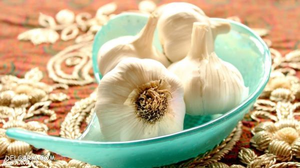 نمادهای سفره هفت سین چه مفهومی دارند؟